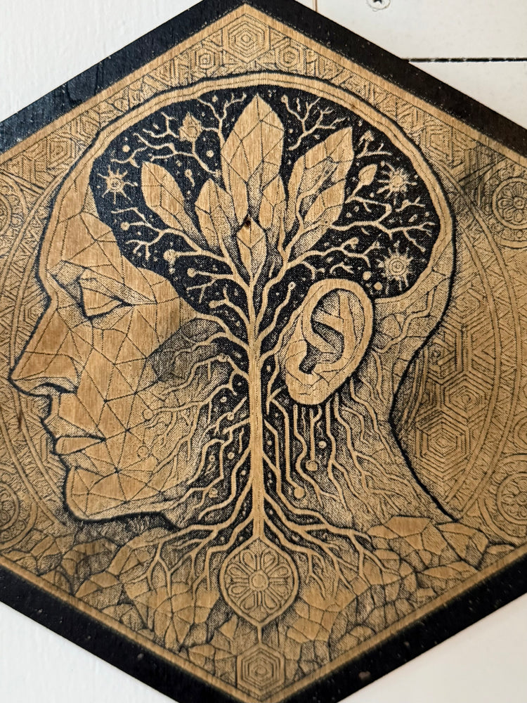 Shop Finished Studio Originals